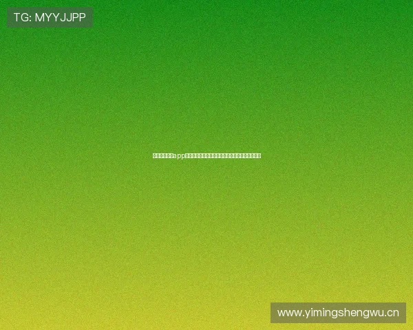 全球体育直播app下载指南与热门赛事高清观看全攻略平台精选推荐