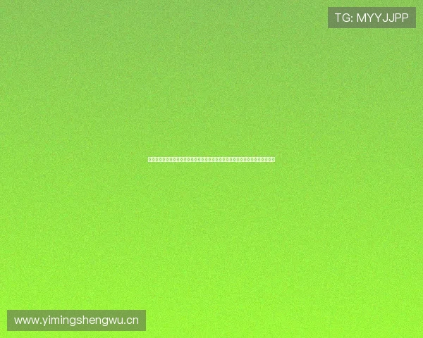 免费足球直播吧在线观看高清赛事实时更新五大联赛欧冠世界杯精彩直播平台推荐